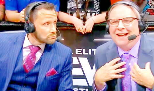 AEW Commentator & His Partner Welcome Baby