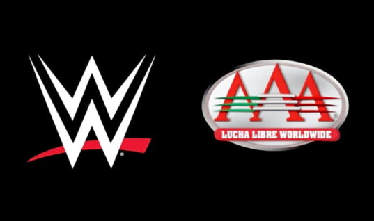 AAA Star Released Following Fan Altercation (w/Video)