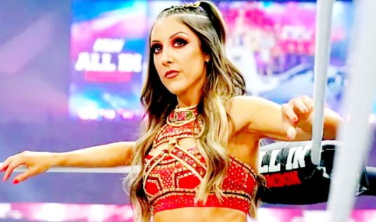 Britt Baker Returns To Television But Not How You’d Think