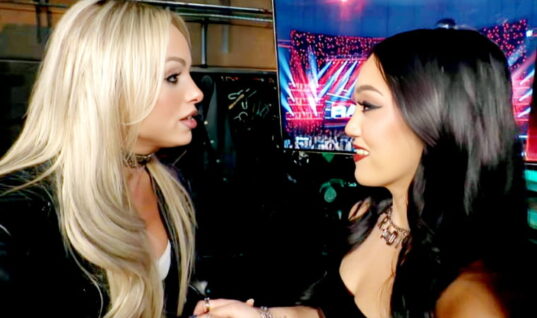 WrestleMania 42 Match In Jeopardy Due To Brutal Head Clash