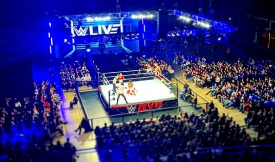 Backstage News On Why WWE Has Revived Summer House Shows