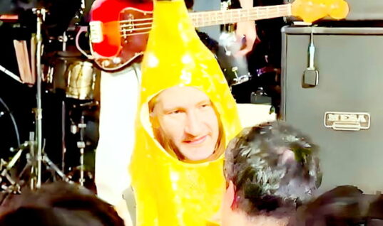 Concertgoer Attends Hardcore Show In Banana Costume & It Ends Horribly
