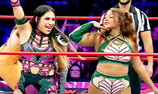 GoFundMe Launched After The Sudden Death Of AEW’s Maya World’s Brother