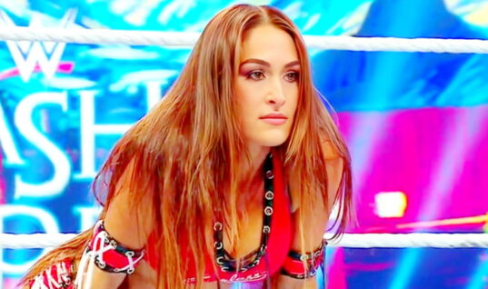 Nikki Bella Drops Jaw-Dropping Photo As She Welcomes Summer