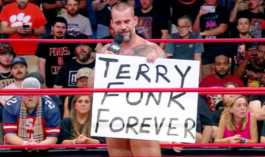 Fans Loved CM Punk’s Epic Terry Funk Reference During His Return To MMA Commentary