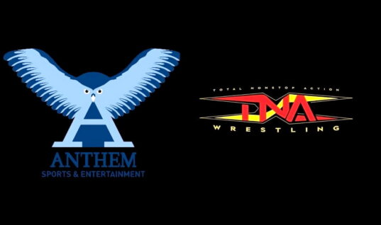How Much Anthem Would Sell TNA For Revealed